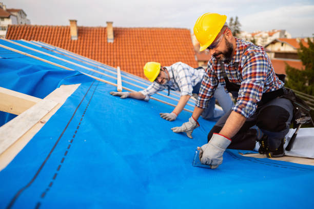 Best Roof Gutter Cleaning  in Vernon Valley, NJ